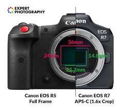 full frame vs aps c helpful camera