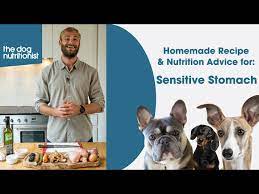 sensitive stomachs homemade dog food