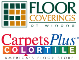 color destination carpet collection