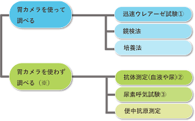 ピロリ菌検査と治療・検査費用|大阪の医療法人幸生会