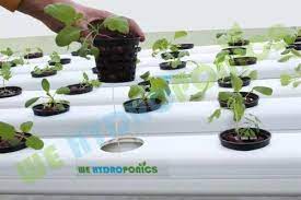 42 planter hydroponics nft dft system