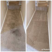 allklean carpet cleaning and