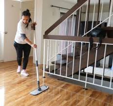 move in move out cleaning best house