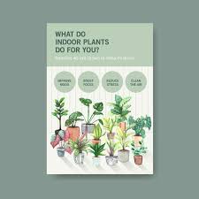 House Plants Template Design