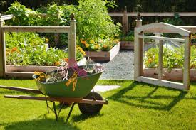 16 backyard vegetable garden ideas for