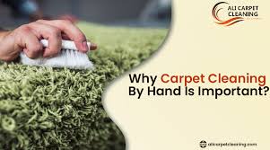 ali carpet cleaning