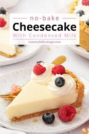 no bake cheesecake with condensed milk