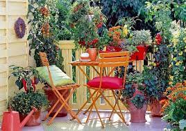 How To Start A Balcony Vegetable Garden