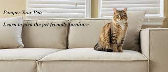 The Best Cat Proof Couches For
