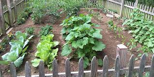 The Benefits Of A Home Vegetable Garden