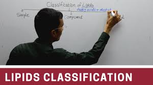 Classification Of Lipids