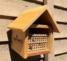 It is a simple diy option that just about anyone can execute. Top 9 Diy Mason Bee House Design For Beginner Mason Bee House Mason Bees Diy Mason Bee House