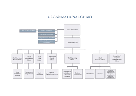 Specific Holding Organization Chart 2019