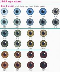 Elspethdixon Vashiane Natural Eye Color Chart Mix Of A10