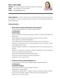 Example Of Resume For Job Application Lppm Us