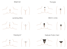 Your female pubic hair stock images are ready. File Pubic Hair Styles Svg Wikimedia Commons