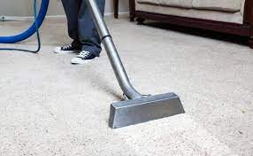 clayfield carpet and rug cleaning