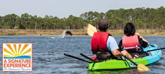 In gulf shores, more than a fifth of the 9,222 vacation accommodations are apartment rentals, which represent 21.02% of its accommodations being offered. The Dolphins Wildlife Kayak Experience Wildnative Tours