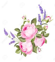 We are taking a look at 14 varieties of lavender to purple colored roses! Blooming Spring Flowers Garland Of Purple Roses And Violet Lavender Royalty Free Cliparts Vectors And Stock Illustration Image 125278850