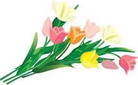 Tulipan kwiat 6 clipart Pobierz za darmo