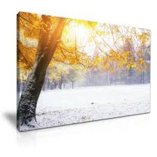 Large Tree Yellow Leaves Nature Canvas