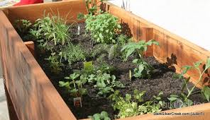 Vegetable Planter Box Turned Herb