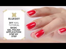 bluesky nail design tutorial basic