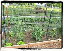 vegetable gardening made easy farm