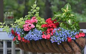 5 Window Box Ideas To Make Your Home