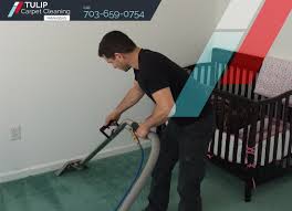 virginia by tulip carpet cleaning
