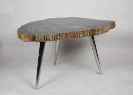 Petrified Wood Coffee Table With