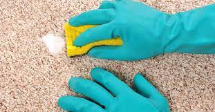 professional carpet cleaner secrets