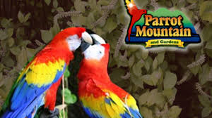 parrot mountain and gardens smoky