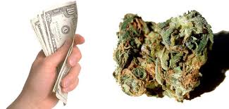 First we looked at the average price of high quality marijuana (one ounce). How Much Does Your Weed Cost Dope Smoker