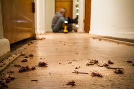 This project is for all of us diyers who like to take matt. How To Remove Carpet Tacks And Staples From Hardwood Floors Work About House