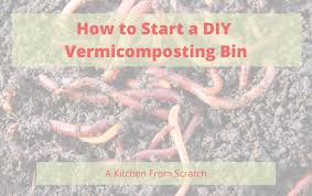diy vermicomposting bin reduce waste
