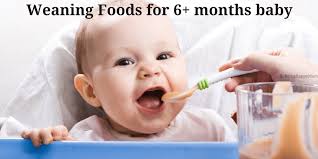 Indian Food Chart For 6 Months Baby Being Happy Mom