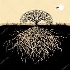 Grafika wektorowa Dry tree with roots illustration, obrazy wektorowe, Dry  tree with roots illustration ilustracje i kliparty