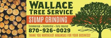 Christians In Business Wallace Tree Service Details