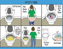 Hom Aba Ot Approved Step By Step Laminated Potty Chart For Kids Ideal For Children With Autism Or Special Needs Helps With Independence And Self