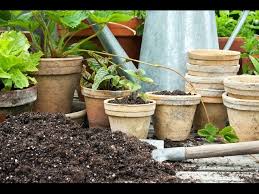 How To Plant In Pots You