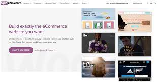 25 best woocommerce plugins to improve