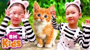 Chú Mèo Con Lông Trắng Tinh ♫ Chú Thỏ Con - Nhạc Thiếu Nhi Vui Nhộn Cho Trẻ  Mầm Non - YouTube