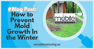 Prevent Mold Growth In The Winter