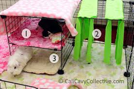 guinea pig c c fleece cage tour