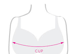 Womens Lingerie Size Guide
