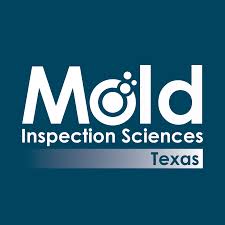 There aren't any set legal limits for maximum exposure, but there have been numerous cases of tenants suing their landlords for damages and health problems caused by the. Blog Mold Inspection Sciences Texas
