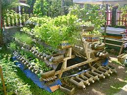 Growing Vegetables And Flowers On The