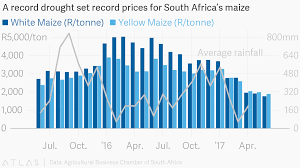 A Record Drought Set Record Prices For South Africas Maize