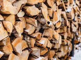 the best firewood for your wood stove